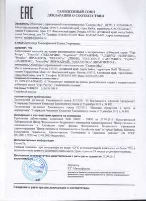 DreamZzz сертификат в Строволосе
